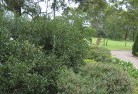 Thringtonresidential-landscaping-35.jpg; ?>