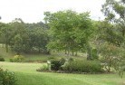 Thringtonresidential-landscaping-40.jpg; ?>